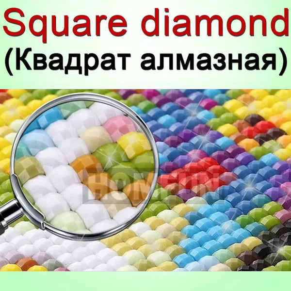113106464-24